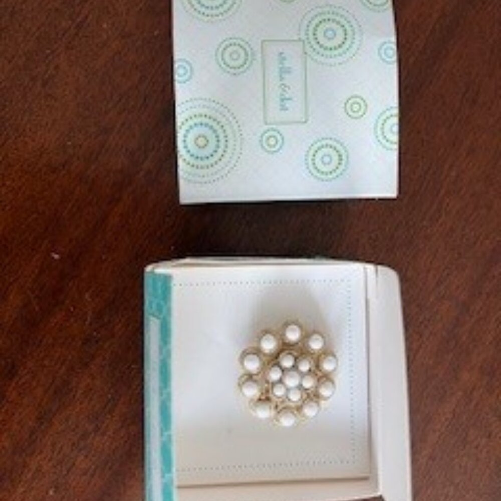 Stella & Dot Turquoise Necklace w/Brooch